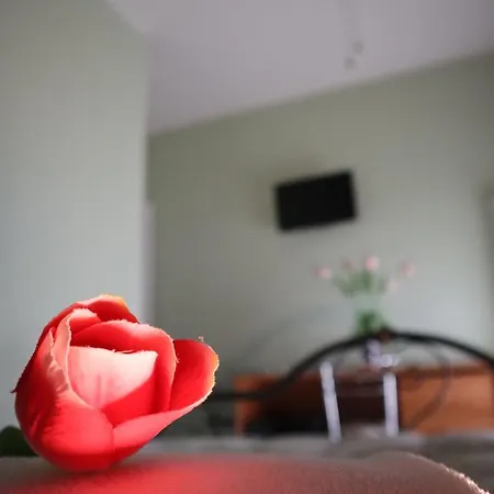 Affittacamere Brezza Della Primavera Guest house